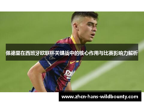 佩德里在西班牙欧联杯关键战中的核心作用与比赛影响力解析